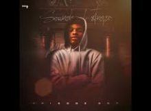 Stnger – Jazzuelle