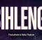 Thukuthela & Dlala Thukzin – ISIHLENGO ft. Jazzworx, Babalwa M & Oscar Mbo