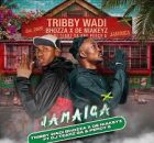 Tribby Wadi Bhozza - Jamaica Ft. Percy5, DJ Tearz SA & De Niakeyz