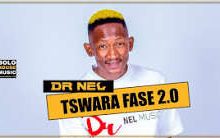 Tswara Fase 2.0 – Dr Nel