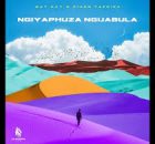 Way Kay – Ngiyaphuza Ngijabula ft. Piano Ya Africa