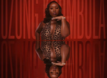 ASANTEIII & Djy Vyno ft Mphoet & Leandra.Vert – UZONG’KHUMBULA