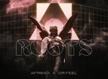 Afriindi & Dr. Feel – Roots