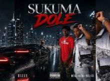 Bizze ft Mtalibani Halisi – Sukuma Dole