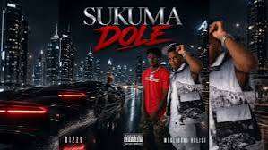 Bizze ft Mtalibani Halisi – Sukuma Dole
