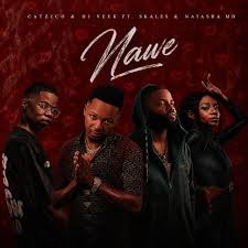 Catzico & DJ Veek – Nawe ft. Skales & Natasha MD
