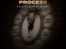 Chipkings, Small S.P & Cooper SA ft Zani – Trust The Process