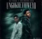 DJ Veek & Criimora B.K.Z – Ungokhethiweyo