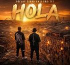 Deejay Zebra SA & Pro-Tee – Hola