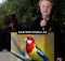 Eastern Rosellas Song - Miles Phillips (and Dad)