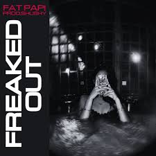 Fat Papi & Prodshushy - Freaked Out