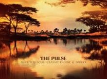 Infected Soul, Classic Desire & Spvrkx – The Pulse