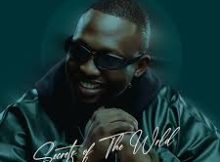 Jazzwrld - Secret Of The World Album 2026
