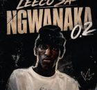 Leeco sa – Ngwanaka 0.2