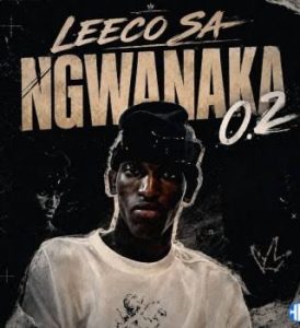 Leeco sa – Ngwanaka 0.2