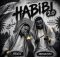 Mbuxx & Mdeshkayro ft ShaunMusiQ & Myztro – Habibi 2.0 (AmaZaiZai)