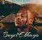 Mduduzi Ncube – Ngeke Ngimyeke (feat. Ayanda Art, Stalin, Fanatic SA & Caeser)