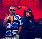 Muvo De Icon & Larny – Sky Bird