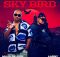 Muvo De Icon & Larny – Sky Bird