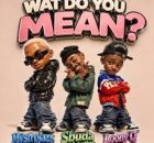 MystroJazz, Sbuda Maleather & Loony Q – What Do You Mean