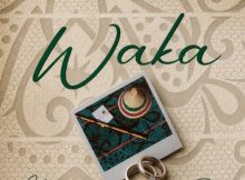 Mzizi & Stixx – Waka