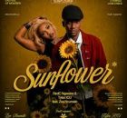 RedC Ngwane & Tyler ICU – Sunflower ft. Zee Nxumalo