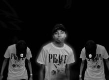 Sgidi de djy ft Biza de vocalist – Project_36