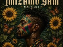 Shuza Drums – Imizamo Yam’ ft. Pixie L