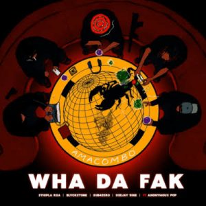 Sthipla RSA, Blvckstone, Sub4Zero & Deejay 9ine ft Anonymous Pop – Wha Da Fak (Amacombo)