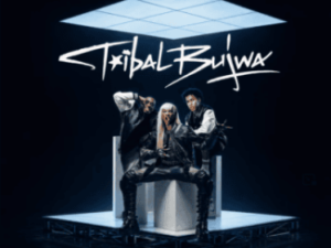 StokieNChilli & Kamo_ww – Tribal Bujwa
