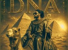The Magnetic Beast ft Kaileap – DNA