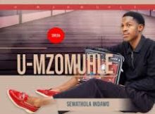 Umzomuhle - Amagwala