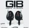 Woza Bakzin & GoldMax ft DJ Tira – Kush’ibhadu