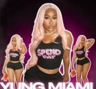 Yung Miami - Spend Dat