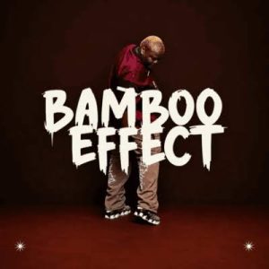 Biggie SA ft MaStaah Ow8 & Lee Musik – Reckyebo