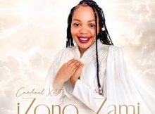 Cardinal X25 – iZono Zami