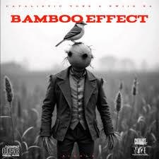 Catalistic Tone & Swiiz SA – Bamboo Effect