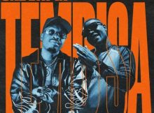 Cooper SA & Tyler ICU ft Dr. Peppa, Optimist Music ZA & Colkaze – Phata Phata