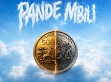 Dicazzi – Pande Mbili Ft Country Wizzy