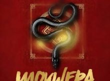 Dj Dadaman, Dj Maphorisa, Kabza De Small & Enny Man Da Guitar ft Focalistic, Ftears, Ch’cco, Seun1401 & Mbuzi – Mokwepa