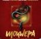 Dj Dadaman, Dj Maphorisa, Kabza De Small & Enny Man Da Guitar ft Focalistic, Ftears, Ch’cco, Seun1401 & Mbuzi – Mokwepa