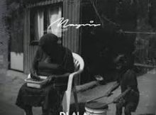 Dlala Thukzin – DRUMS Ft Assiye Bongzin & Naitor