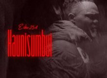 Echo 254 – Haunisumbui