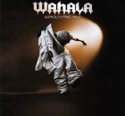 Genius Jini X66 – Wahala