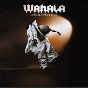 Genius Jini X66 – Wahala