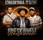 Izingonyama Zesizwe – Indoda iyanyakaza