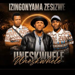 Izingonyama Zesizwe – Indoda iyanyakaza

