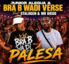 Junior Alegua & Bra B Wadi Verse – Palesa ft. Stalogen & Mr Diego