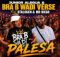 Junior Alegua & Bra B Wadi Verse – Palesa ft. Stalogen & Mr Diego