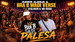 Junior Alegua & Bra B Wadi Verse – Palesa ft. Stalogen & Mr Diego
